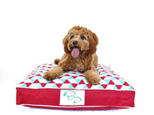 MODERN DESIGNER DOG BED - TEAL GEOMETRIC - Pet Pouch