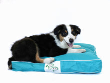 WATERPROOF DESIGNER DOG BED - AQUA BLUE - Pet Pouch