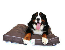 WATERPROOF DESIGNER DOG BED - BROWN - Pet Pouch