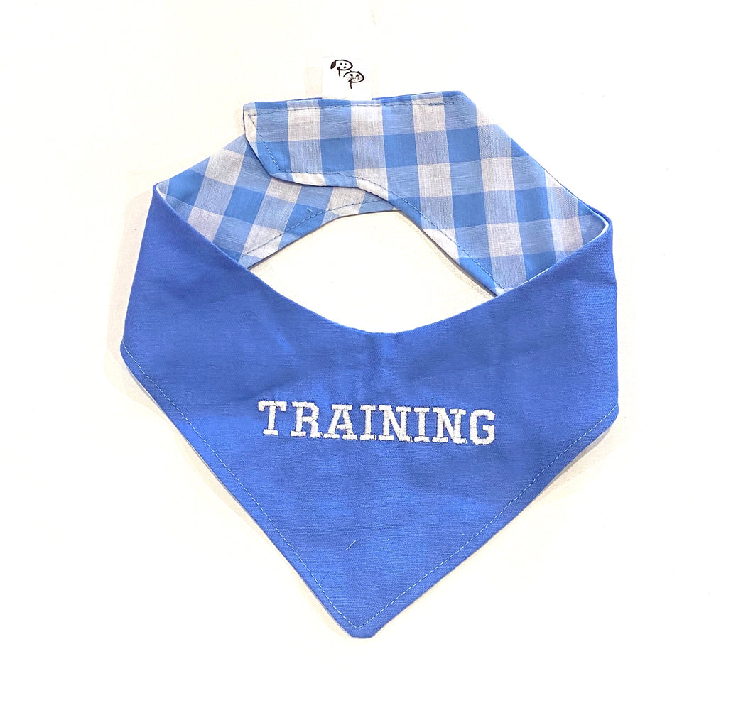 TRAINING BLUE - DOG BANDANA - Pet Pouch