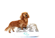 KAPUTUS DESIGNER DOG BED - TAN & WHITE - Pet Pouch
