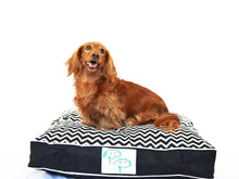 MODERN DESIGNER DOG BED - BLACK & WHITE CHEVRON - Pet Pouch