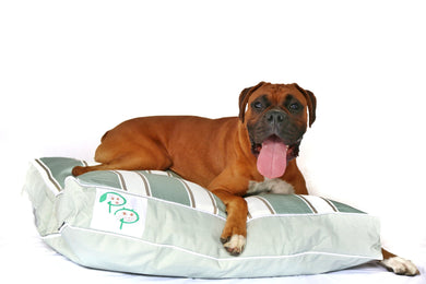PENINSULA RANGE DESIGNER DOG BED - MORNINGTON MINT - Pet Pouch
