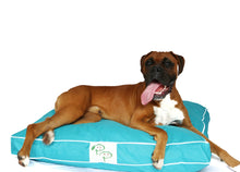 WATERPROOF DESIGNER DOG BED - AQUA BLUE - Pet Pouch