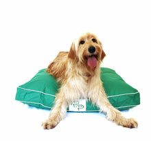 WATERPROOF DESIGNER DOG BED - GREEN - Pet Pouch