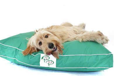 WATERPROOF DESIGNER DOG BED - GREEN - Pet Pouch