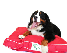 WATERPROOF DESIGNER DOG BED - RED - Pet Pouch