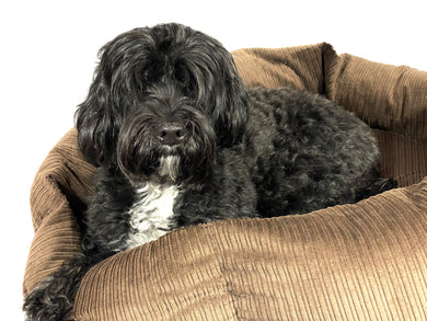 SNUGGLE HEXABED - CHOCOLATE BROWN CORDUROY - Pet Pouch