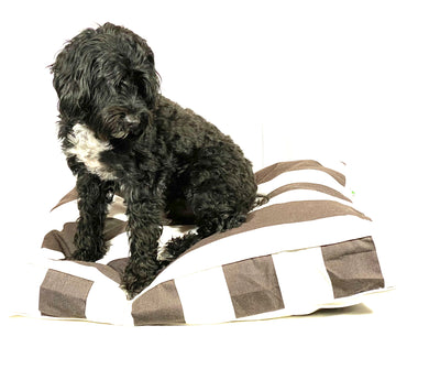 THE HAMPTONS DESIGNER DOG BED - BROWN - Pet Pouch