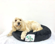 SNUGGLE HEXABED - BLACK CORDUROY - Pet Pouch