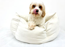SNUGGLE HEXABED - CREAM CORDUROY - Pet Pouch