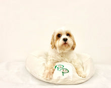 SNUGGLE HEXABED - CREAM CORDUROY - Pet Pouch