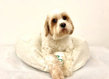 SNUGGLE HEXABED - CREAM CORDUROY - Pet Pouch