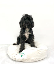 SNUGGLE HEXABED - CREAM CORDUROY - Pet Pouch