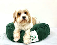 SNUGGLE HEXABED - GREEN CORDUROY - Pet Pouch