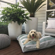 PENINSULA RANGE DESIGNER DOG BED - MORNINGTON MINT - Pet Pouch