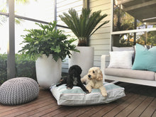 PENINSULA RANGE DESIGNER DOG BED - MORNINGTON MINT - Pet Pouch