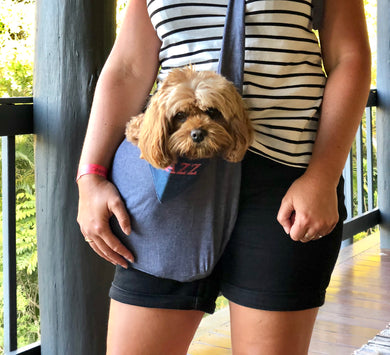 PET POUCH DOG CARRIER - BLUE DOG SLING - Pet Pouch