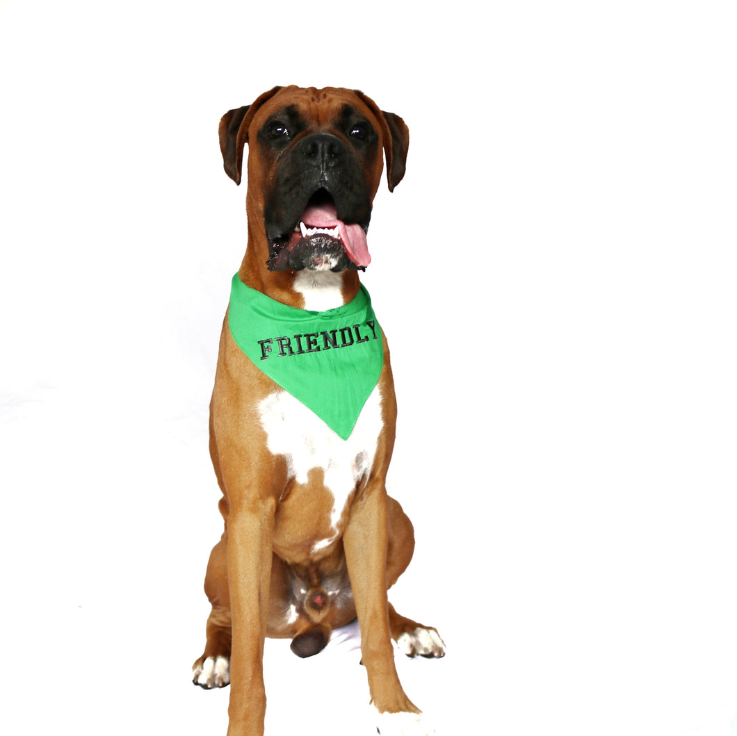 FRIENDLY GREEN DOG BANDANA Pet Pouch