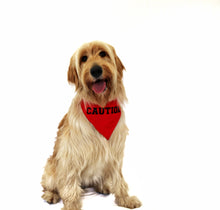 CAUTION RED - DOG BANDANA - Pet Pouch