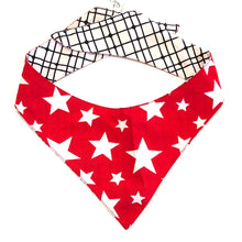 TAKE 2 - DOG BANDANA - Pet Pouch