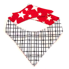 TAKE 2 - DOG BANDANA - Pet Pouch