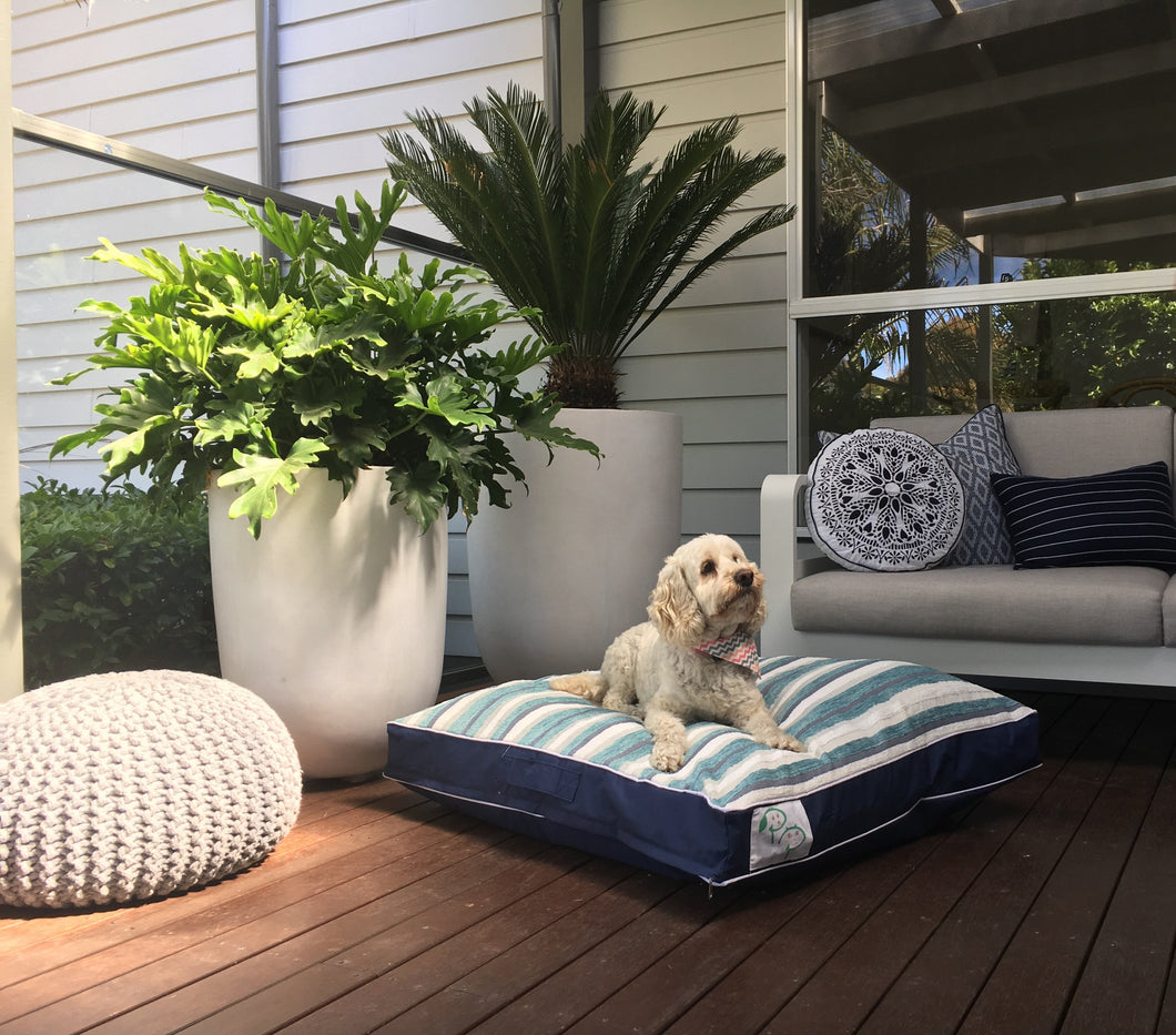 ZICO - DESIGNER DOG BED - Pet Pouch